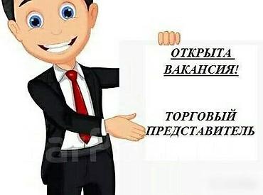 сэз бишкек жумуш: 🔥 ДИСТРИБЬЮТОРСКАЯ КОМПАНИЯ ПРИГЛАШАЕТ В КОМАНДУ! 🔥 🚗 Торговые агенты — 1