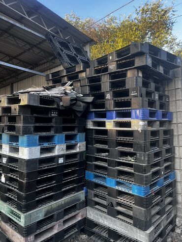 минтай оптом бишкек: Поддоны в наличии продаю оптом по 500 Штучный по 700 в хорошем