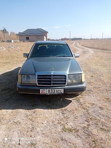 степ эреф 1: Mercedes-Benz 220: 1992 г., 2.2 л, Кол менен иштөөчү, Бензин, Седан — 3