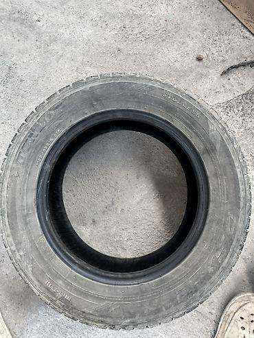 195 70 с: Зимняя шина Dunlop (без шипов, Studless) - Тип: зимняя фрикционная — 3