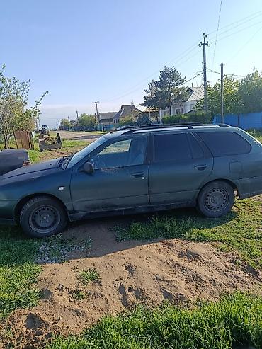 sprinter 4 4: Nissan Primera: 2000 г., 2 л, Механика, Дизель, Универсал — 3