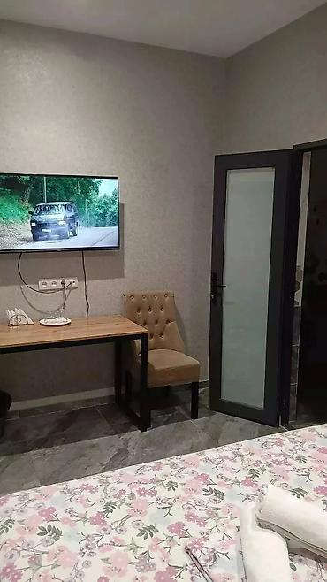 vip: 1 комната, Аламединский рынок / базар, Телевизор, Бронь, Бытовая техника — 3
