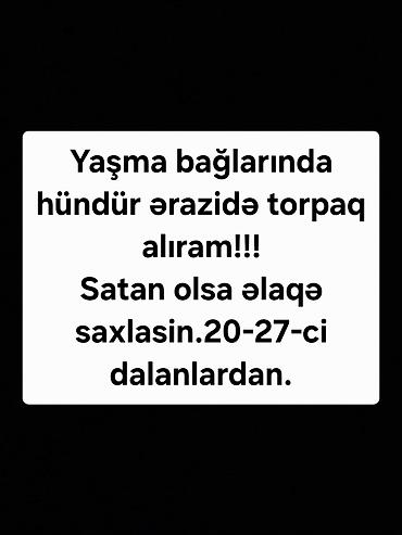 saray torpag: Kupça (Çıxarış) — 1