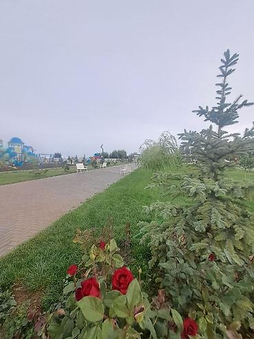 2 8: 3 комнаты, Семейным, С мебелью полностью — 1