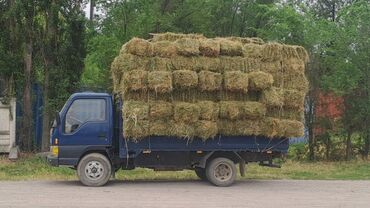 дрова скупка: Портер, с грузчиком