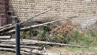 фонарик цена бишкек: Отун сатылат 1 портер чыгат Дыйкан-Кыштакта