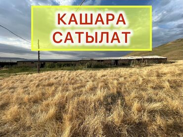 ижара дом: Дом, 45 м², 2 комнаты, Риэлтор, Старый ремонт