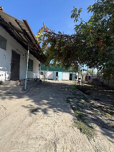 чайка 3: 4 комнаты, 80 м², 6 соток, Гавриловка — 6