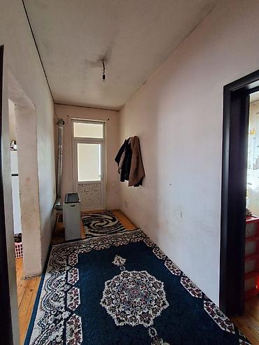 kendir: 120kvadrat çırağlı kənd tam orta məktəbin yanı 569un yolu araz — 7