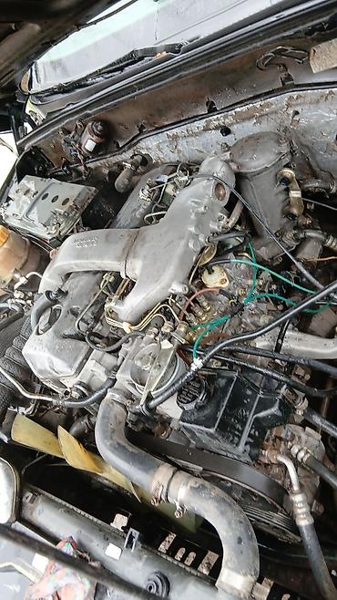 Ssangyong: Ssangyong Musso: 2000 г. — 19