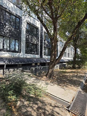 Батирлерди сатуу: Студия, 18 м², Кызыл Аскер Жертөлө кабаты кабат, Евро оңдоо — 8