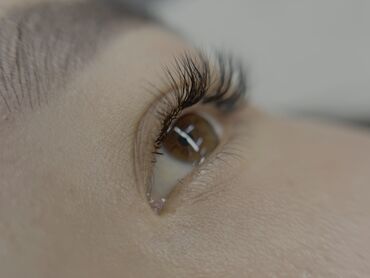 Ресницы: Ресницы, 2D, 3D, Классика, Консультация, Требуются модели, Гипоаллергенные материалы — 8