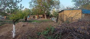 Продажа участков: 55 соток, Для строительства, Красная книга, Тех паспорт, Договор дарения — 4