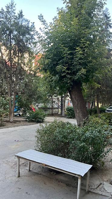 Продажа квартир: 3 комнаты, 54 м², Индивидуалка, 4 этаж, Косметический ремонт — 3