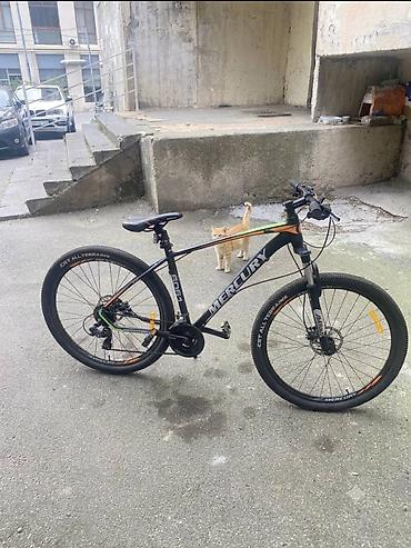 aurus bicycle: İşlənmiş Şəhər velosipedi Mercury, 29", sürətlərin sayı: 21, Ünvandan götürmə — 2