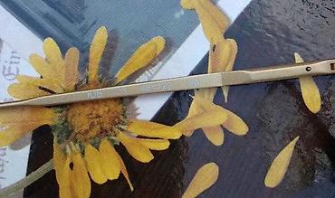 Naočare: Giorgio Armani dioptrijski ram ORIGINAL. Original. Made in ITALY — 6