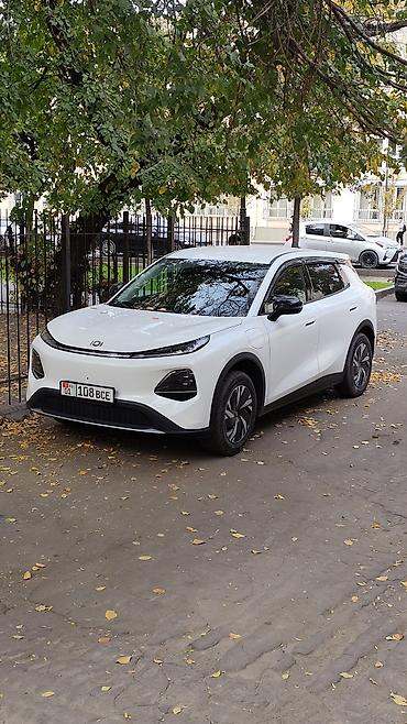 чангам: BYD : 2026 г., Автомат, Электромобиль, Кроссовер — 1
