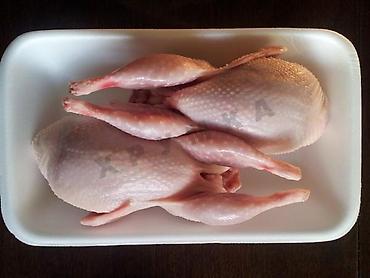 Перепелка: Продаю мясо перепела, натуральные корма с Халал сертификацией, забой — 6