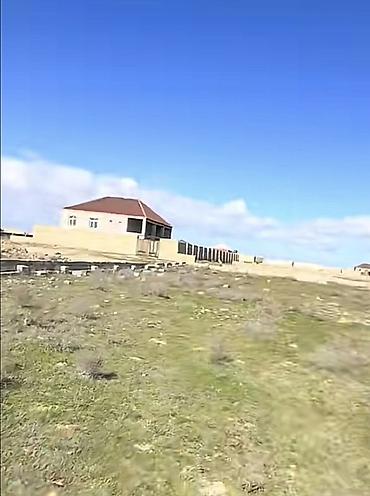 Torpaq: 10 sot, Tikinti, Kupça (Çıxarış) — 1