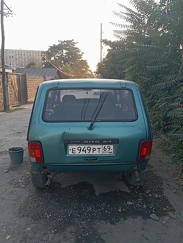 нива зеркало: ВАЗ (ЛАДА) 4x4 Нива: 2001 г., 1.6 л, Механика, Бензин, Внедорожник — 5