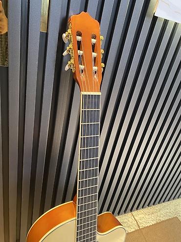 qarmon cantasi: Elektro Klassik Gitara + Aksessuarları ilə bitlikfə Uzərində kapo+ 2 — 5