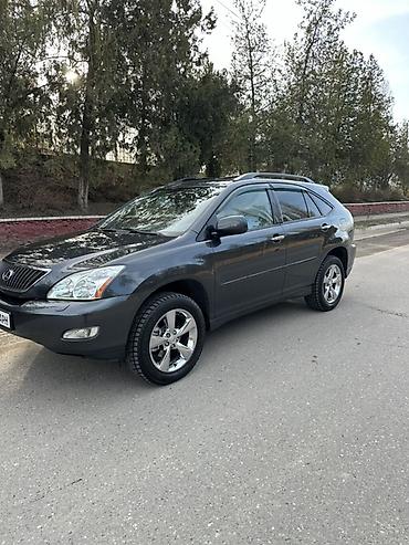 Lexus: Lexus RX: 2004 г., 3.3 л, Автомат, Бензин, Кроссовер — 15