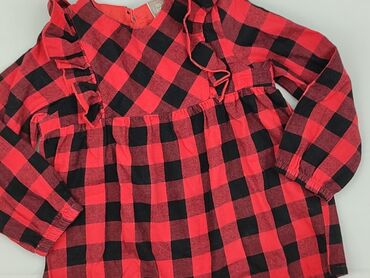 skarpety z twoim psem: Bluzka, Little kids, 4-5 lat, 104-110 cm, stan - Bardzo dobry