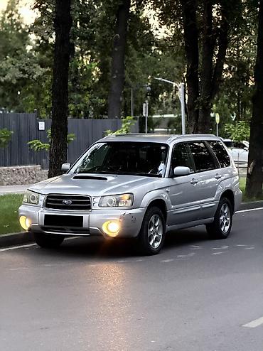 forester sf5: Subaru Forester: 2003 г., 2 л, Автомат — 1