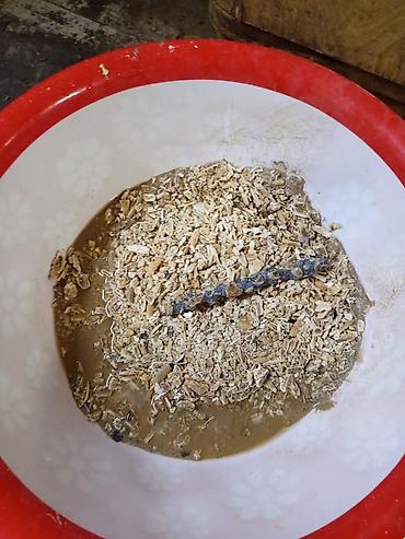 Установка водонагревателей: Профессиональная чистка водонагревателей Ariston 24/7. Что делаем: - — 14