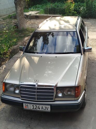 гетс 2: Mercedes-Benz W124: 1991 г., 2.9 л, Механика, Дизель, Универсал