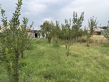 комбинированная: Продается немецкий дом с большим 18 соток участком (фактически 22 — 6