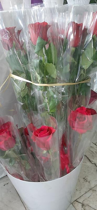 Фиалки и глоксинии: Выстака-ярмарка цветов, приходите за подарками для милых дам!!! — 4