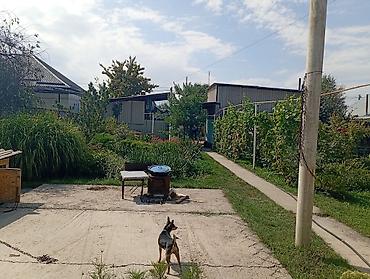Продажа коттеджей и домов: Продаётся частный дом с большим потенциалом, благоустроенным — 4