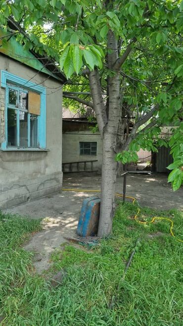 купить дом на иссык куле: Үй, 60 кв. м, 3 бөлмө, Менчик ээси