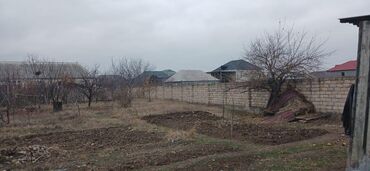 Torpaq sahələrinin satışı: 15 sot, Tikinti, Mülkiyyətçi, Kupça (Çıxarış), Bələdiyyə, Müqavilə — 12