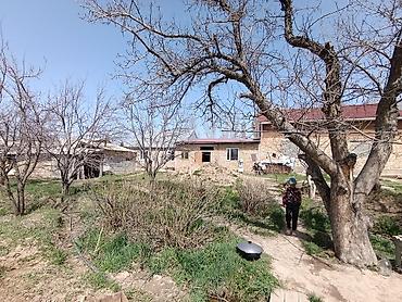 искра участок: 92 соток, Для сельского хозяйства — 8