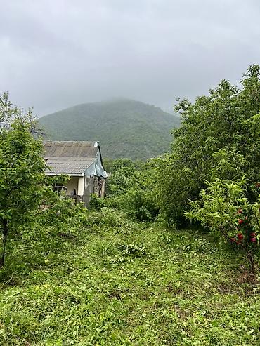 torpaq bakıda: 5 sot, Tikinti, Mülkiyyətçi, Kupça (Çıxarış) — 2