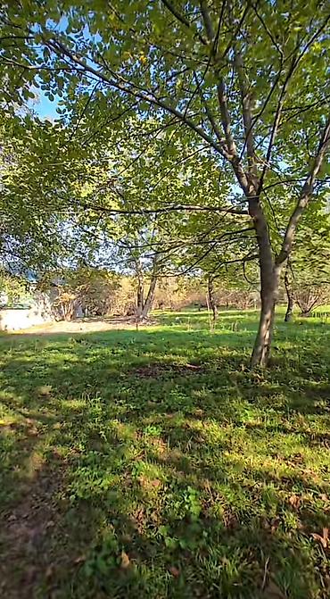 sekide torpaq satilir: 27 sot, Tikinti, Mülkiyyətçi, Kupça (Çıxarış) — 1