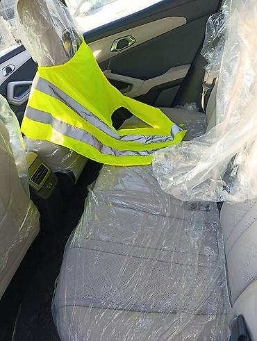 JMEV: JMEV : 2024 г., 0.1 л, Робот, Электромобиль, Кроссовер — 5