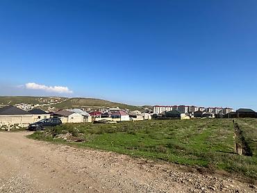 hökmeli evler: 5 sot, Kənd təsərrüfatı — 10