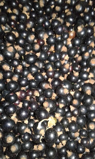 Turşular: Məhsul: Evdə hazırlanmış konservlər və turşular - Qarışıq turşu — 10