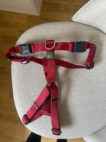 Hunter kaiš–am za psa, crvene boje. Za pse velikih rasa - Tip na lalafo.rs Hunter kaiš–am za psa, crvene boje. Za pse velikih rasa - Tip