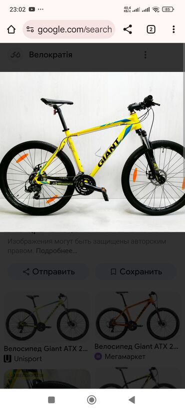 большая ваза для пальмы: Городской велосипед, Giant, Рама XL (180 - 195 см), Новый