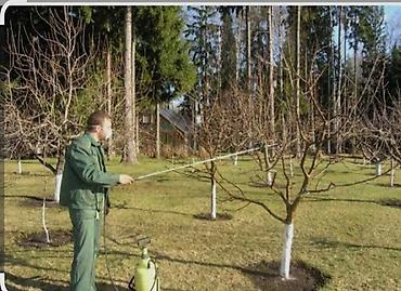 Опрыскиватели: Опрыскиватель Ранцевый — 4