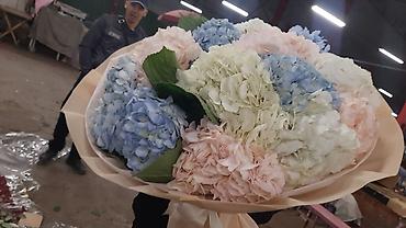 Букеты из живых цветов: Голландские розы оптом и в розницу — 11