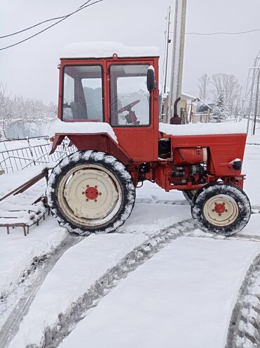 Traktorlar: Traktor Belarus (MTZ) T25, 1986 il, 12345 at gücü, motor 9.9 l, İşlənmiş — 5