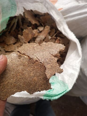 домики для хомяков: Жмых (масличный шрот) в лепёшках - Кормовой продукт растительного