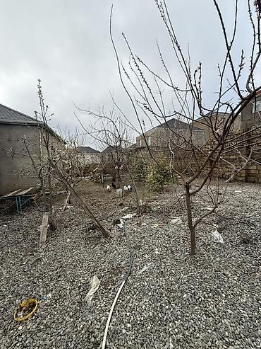 Həyət evləri və villaların satışı: Masazır 5 otaqlı, 100 kv. m — 17