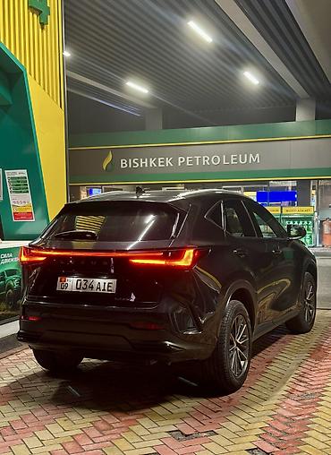 Lexus: Lexus NX: 2023 г., 2.5 л, Автомат, Бензин, Кроссовер — 4