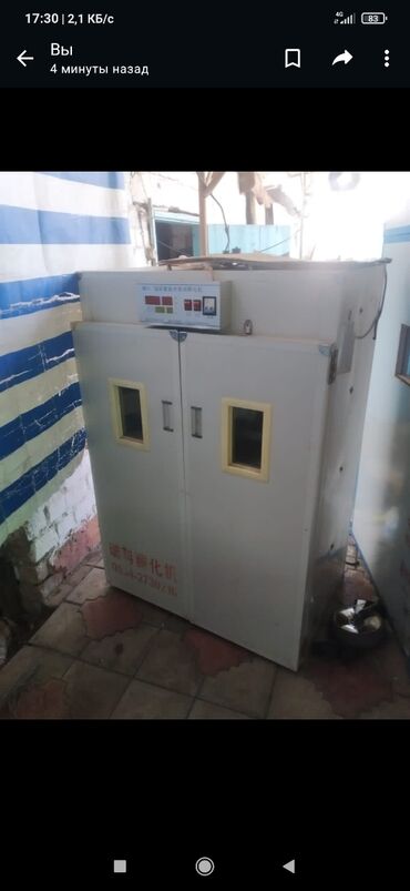 услуги инкубатора в бишкеке: Инкубатор 1056 штук китайский заводской